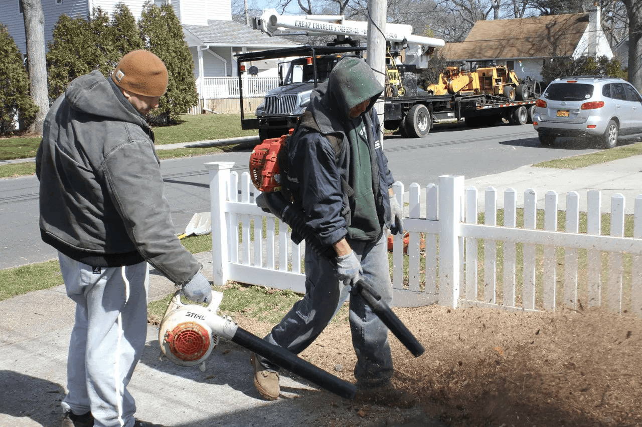 Suffolk County Tree Removal