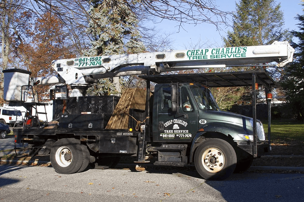 Suffolk County Tree Trimming