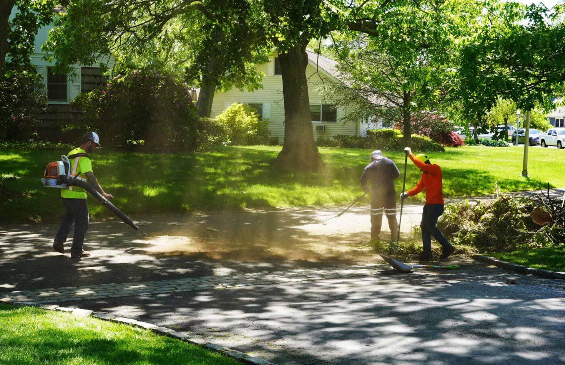 Emergency Tree Removal: When You Need It ASAP in Nassau County, NY & Suffolk County, NY