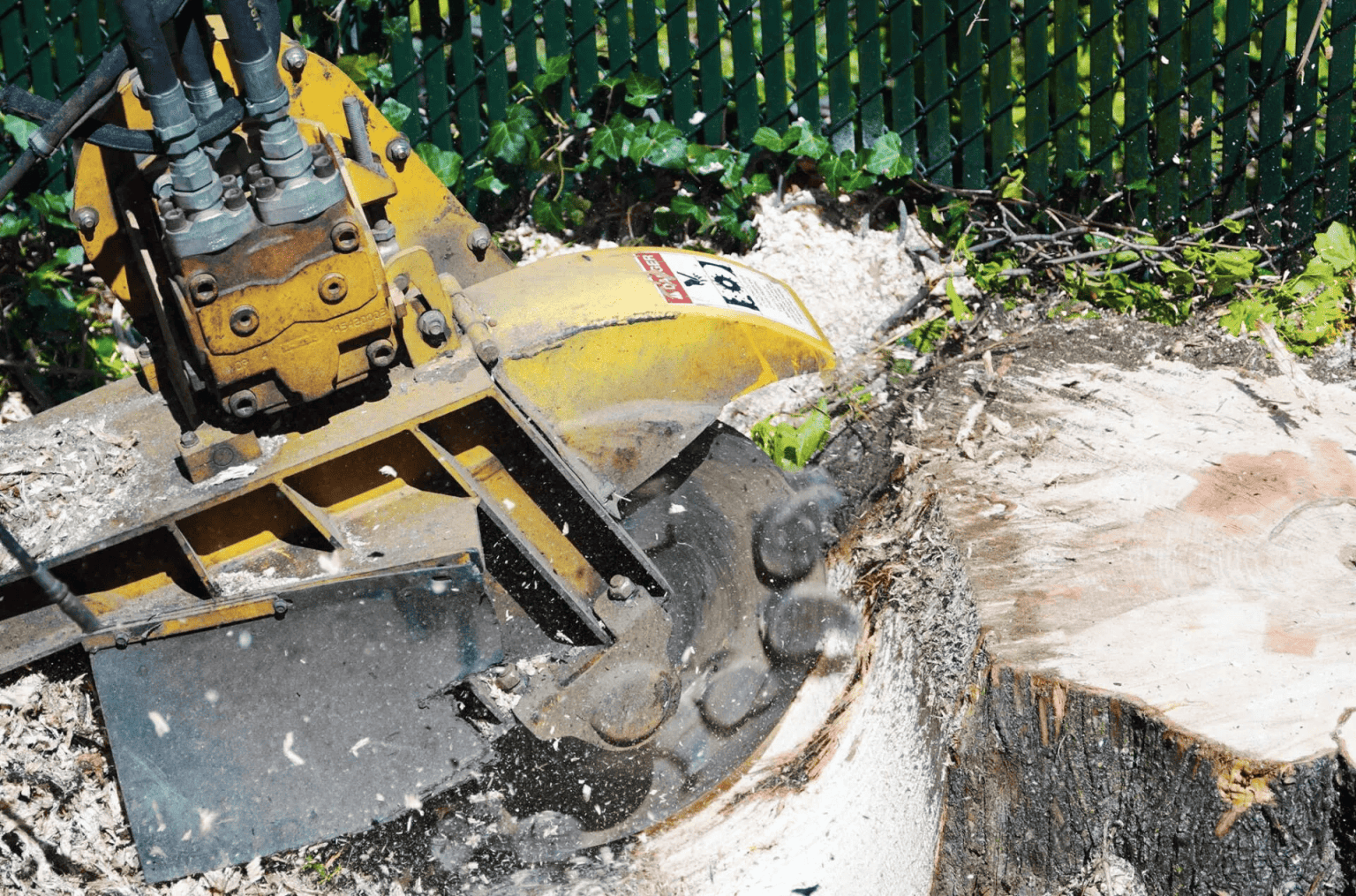 Tree Services Company Nassau County, NY Cheap Charlie's Tree Service